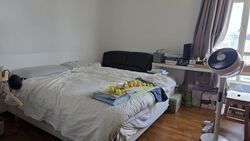 Oleander Towers (D12), Apartment #612052971